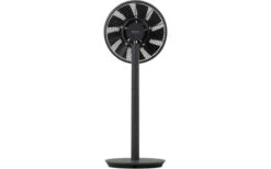 Balmuda Green Fan Tischventilator / Standventilator Schwarz -Fiama Camping Geschaft 296905 2538329 1