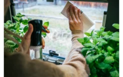 MikiGREEN Öko.Schwamm.Tücher 2er-Pack 9 MikiGREEN Öko.Schwamm.Tücher 2er-Pack -Fiama Camping Geschaft 574939 3927991